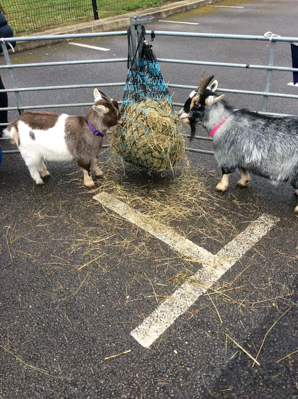 Gallery - created at 2023-03-03 16:33:51 - image 1