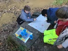 Forest School 122 - image 3 Forest School 122 - image 3