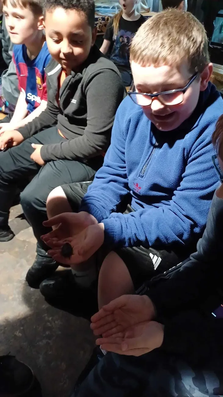 Gallery - created at 2024-06-06 15:03:55 - image 37