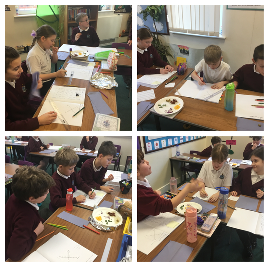 5W Bread Ingredients Analysis