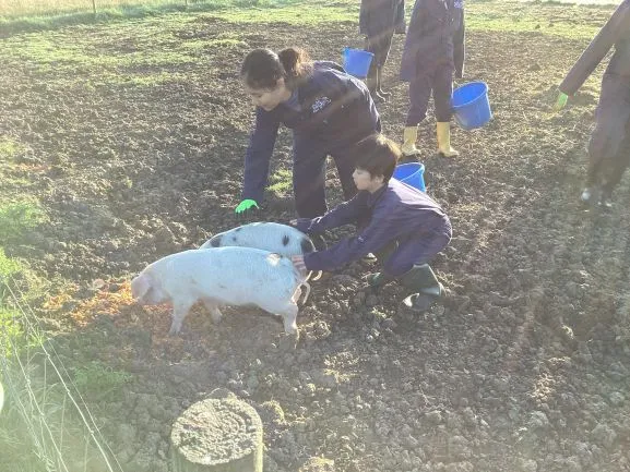 Farm Trip - Gallery 4 - image 32