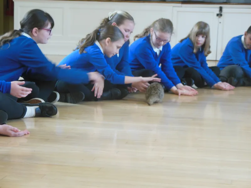 Y6 Reptile Rendezvous - image 18