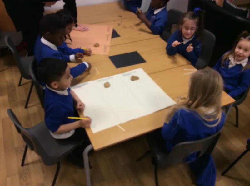 Dino Investigation - image 3 Dino Investigation - image 3