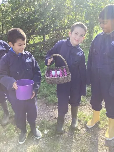 Farm Trip - Gallery 4 - image 10