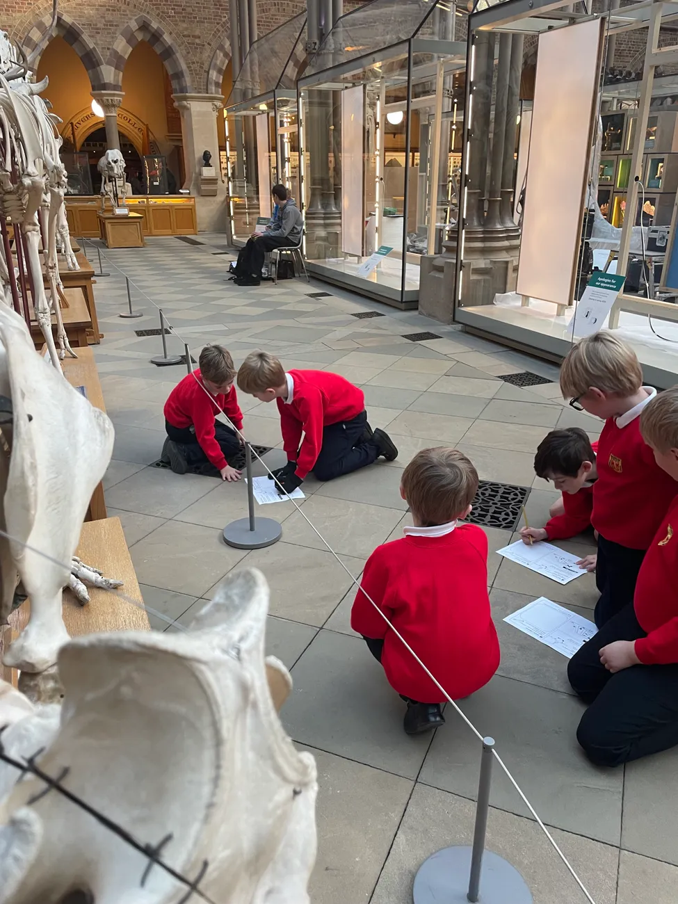 Gallery - created at 2024-02-24 14:03:51 - image 16