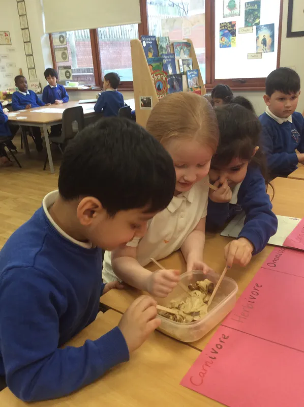 Gallery - created at 2024-02-15 10:37:57 - image 8 Gallery - created at 2024-02-15 10:37:57 - image 8