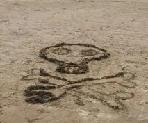 Forest School 126 - image 7 Forest School 126 - image 7