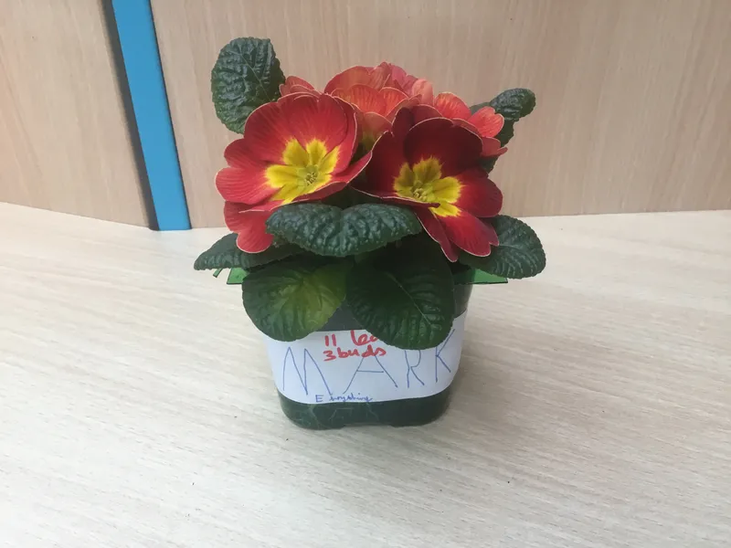 Gallery - created at 2021-04-16 07:58:15 - image 5 Gallery - created at 2021-04-16 07:58:15 - image 5