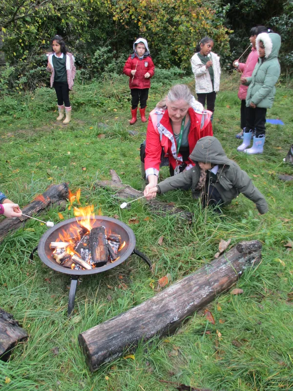 Forest School Fun Year 1 - image 3 Forest School Fun Year 1 - image 3