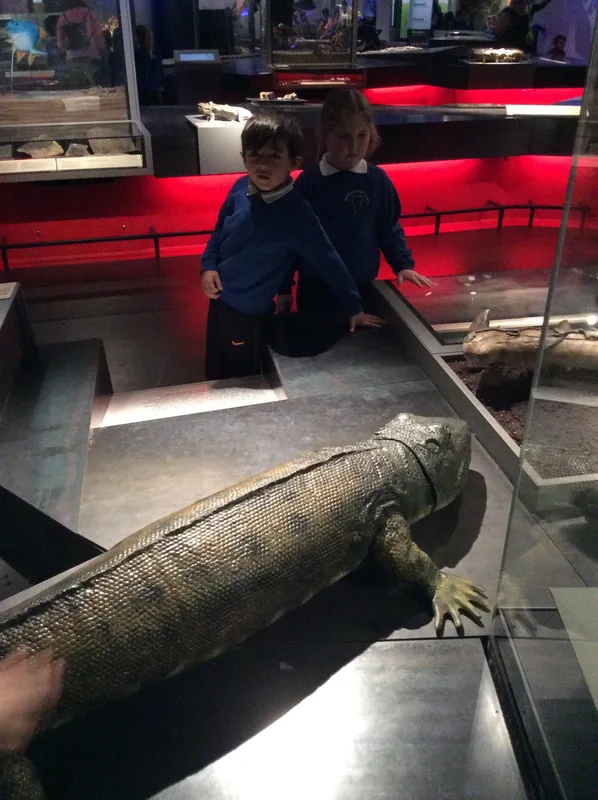 Gallery - created at 2024-02-15 10:35:32 - image 19 Gallery - created at 2024-02-15 10:35:32 - image 19