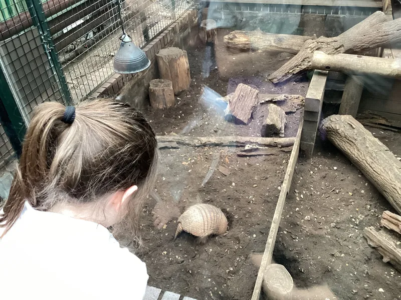 Gallery - created at 2025-03-14 10:11:21 - image 17 Gallery - created at 2025-03-14 10:11:21 - image 17