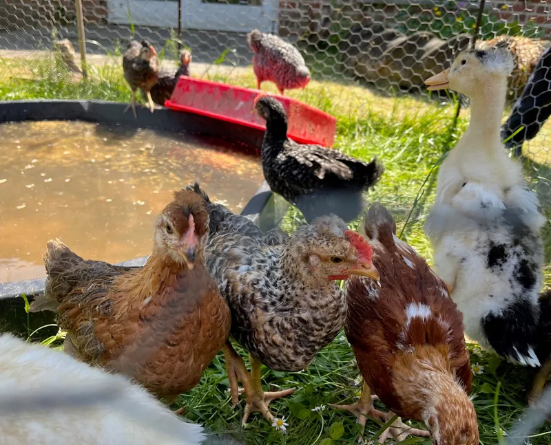 Gallery - created at 2023-06-09 12:14:52 - image 4