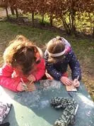 Forest School 110 - image 4 Forest School 110 - image 4