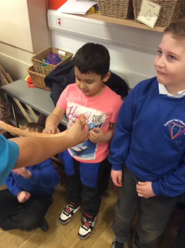 Gallery - created at 2024-03-05 13:52:56 - image 16 Gallery - created at 2024-03-05 13:52:56 - image 16