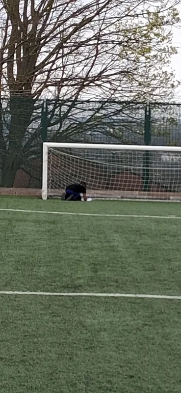 y6 active learning - image 24