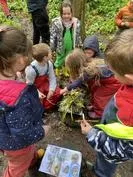 Forest School 102 - image 1 Forest School 102 - image 1