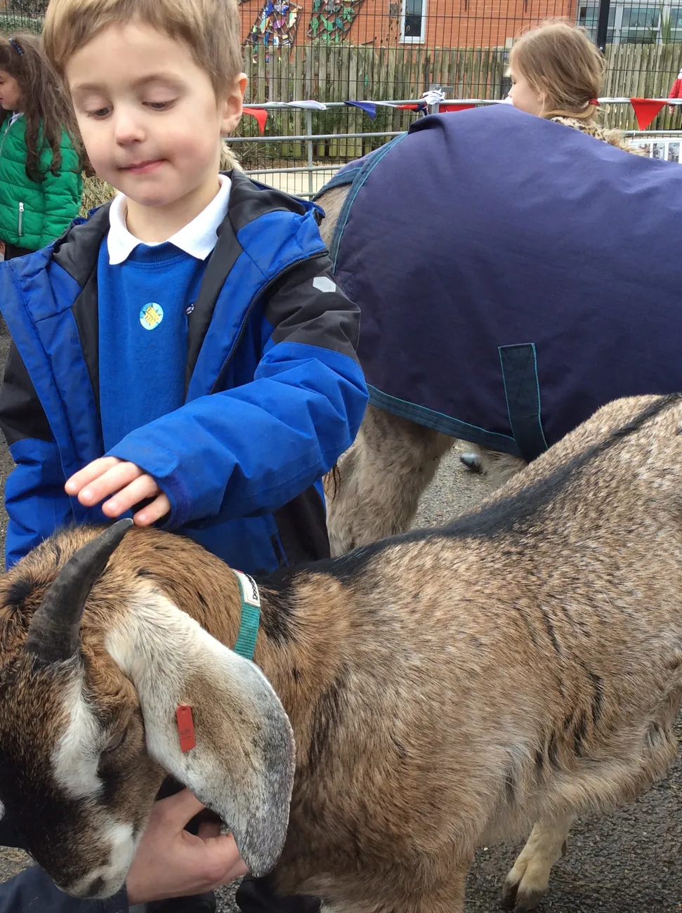 Gallery - created at 2022-03-04 13:11:52 - image 5