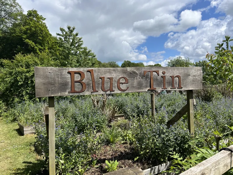 Blue Tin Visit  - image 13