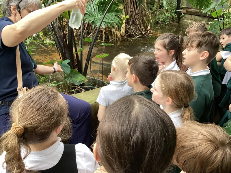 Gallery - created at 2025-03-14 10:11:21 - image 26 Gallery - created at 2025-03-14 10:11:21 - image 26