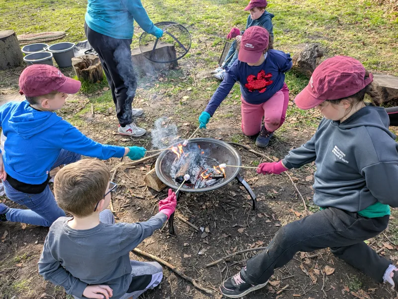 Gallery - created at 2025-03-20 15:36:53 - image 5