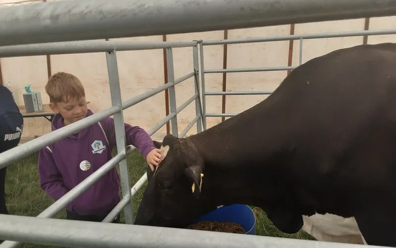 Gallery - created at 2025-06-06 10:40:13 - image 3 Gallery - created at 2025-06-06 10:40:13 - image 3