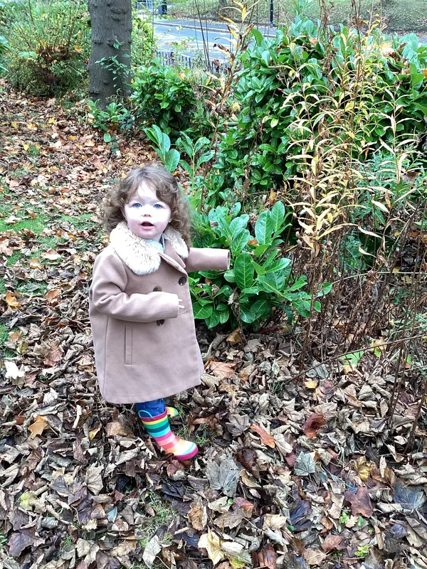 Gallery - created at 2024-11-05 15:27:50 - image 71 Gallery - created at 2024-11-05 15:27:50 - image 71