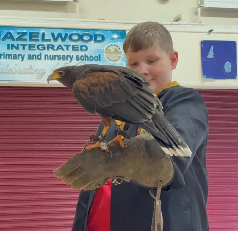 P5 Harry Potter Day  - image 4