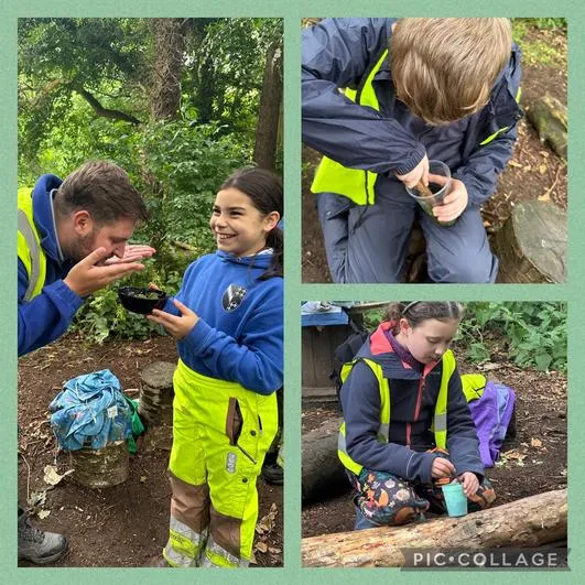 Summer 2024 - 3rd July - Oaks - Orienteering (Roman Numerals), Woodland Perfumes and Forest Games - image 2 Summer 2024 - 3rd July - Oaks - Orienteering (Roman Numerals), Woodland Perfumes and Forest Games - image 2