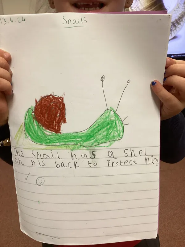 Our Photo Gallery - image 12