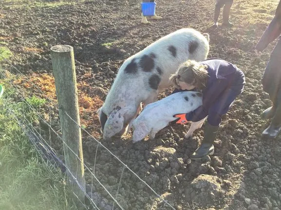 Farm Trip - Gallery 4 - image 15