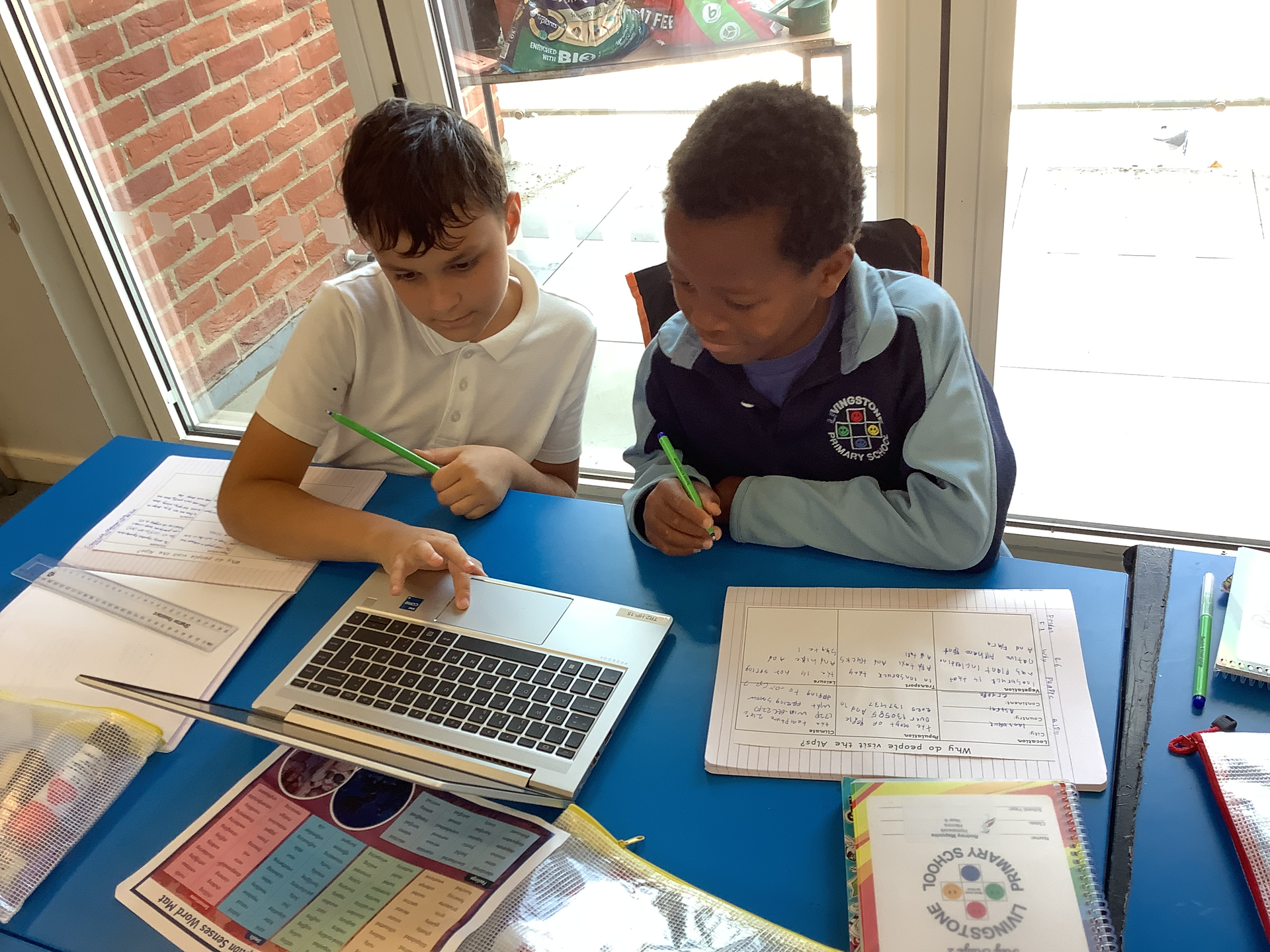 Year 5 - Geography - Studying the Alps