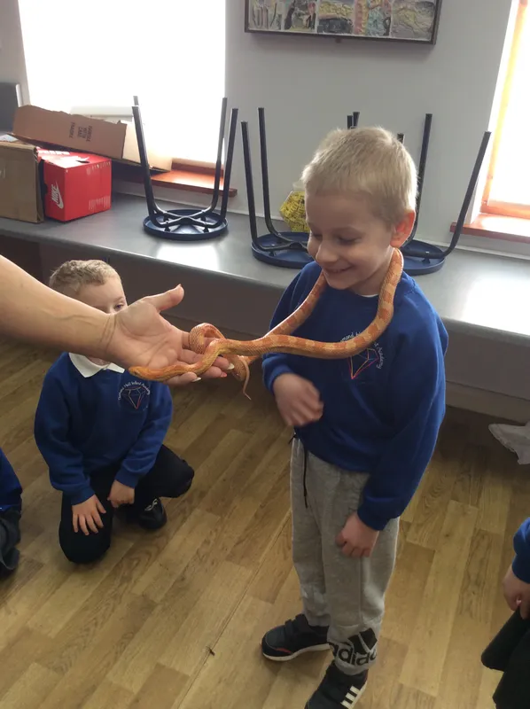 Gallery - created at 2024-02-26 17:15:57 - image 85 Gallery - created at 2024-02-26 17:15:57 - image 85