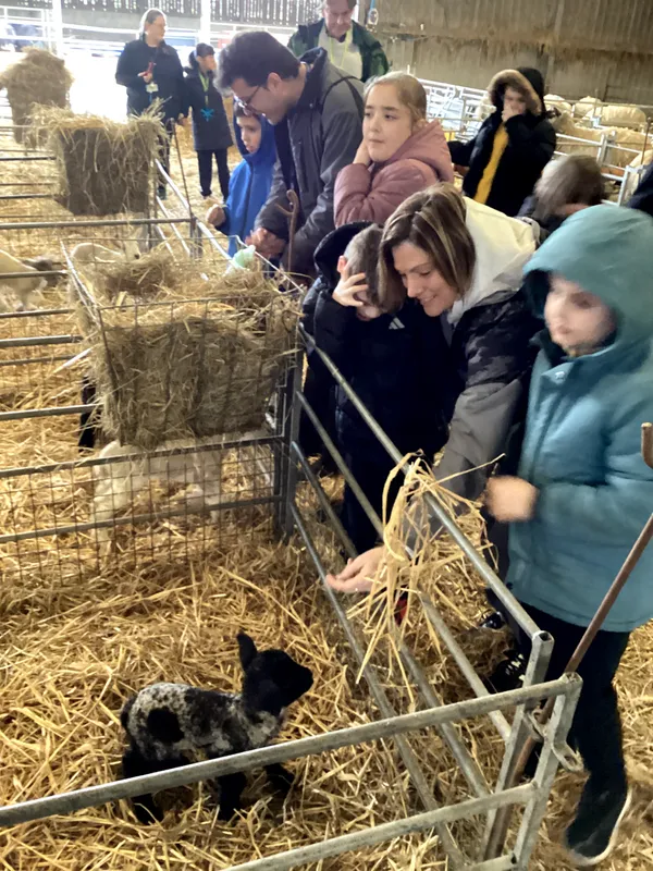 Yellow Class Trip to Woolmers' Farm 2026 - image 8