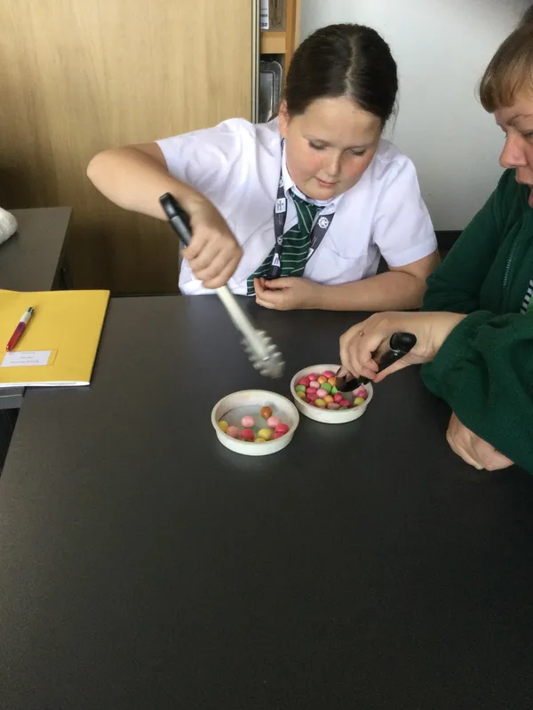Chestnut 2024 - Darwin adaptation experiment - image 1