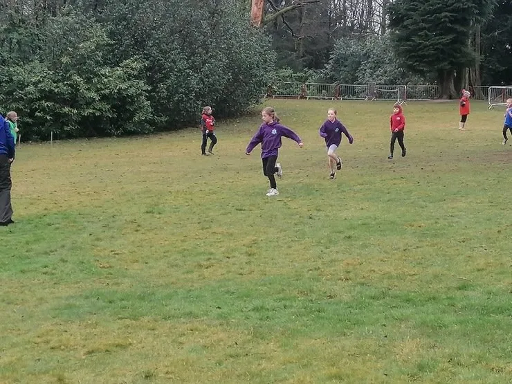 PE 1 - image 4 PE 1 - image 4