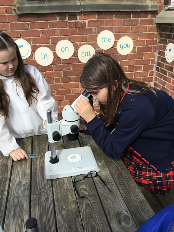 Gallery - created at 2019-09-17 19:22:10 - image 17 Gallery - created at 2019-09-17 19:22:10 - image 17