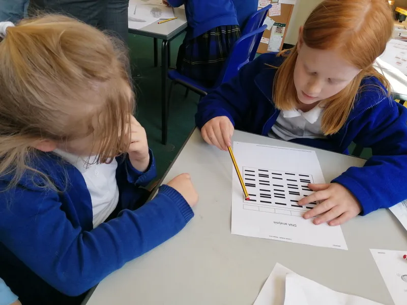 Gallery - created at 2021-03-14 14:39:05 - image 3