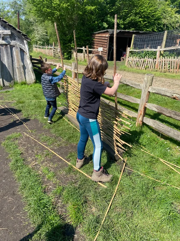 Gallery - created at 2024-05-12 17:36:52 - image 15 Gallery - created at 2024-05-12 17:36:52 - image 15