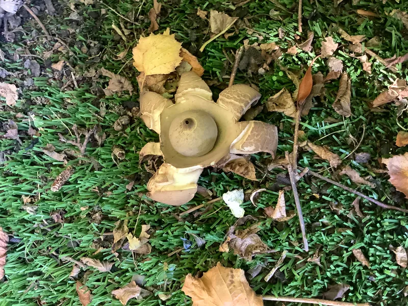 Nursery RE Creation - image 16 Nursery RE Creation - image 16