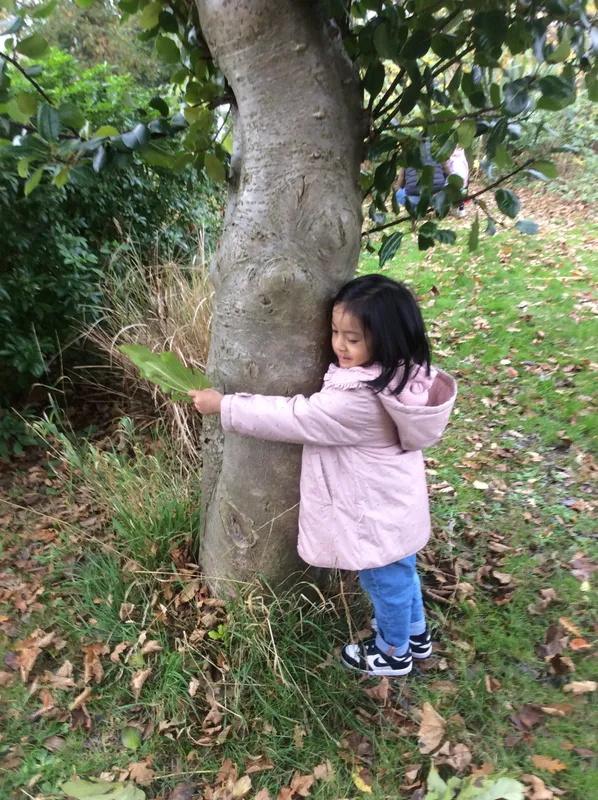 Gallery - created at 2024-11-05 15:27:50 - image 20 Gallery - created at 2024-11-05 15:27:50 - image 20