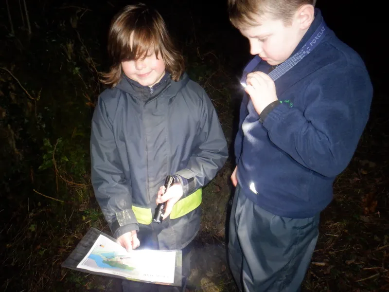 Gallery - created at 2025-02-25 21:38:38 - image 11