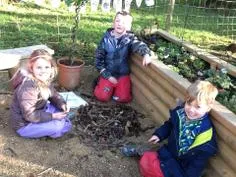 Forest School 155 - image 3 Forest School 155 - image 3