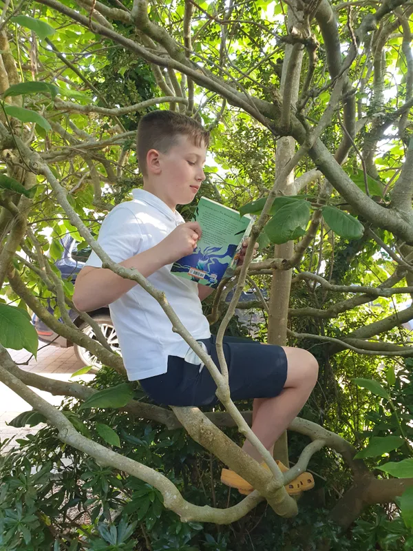 Gallery - created at 2023-06-23 12:55:50 - image 9