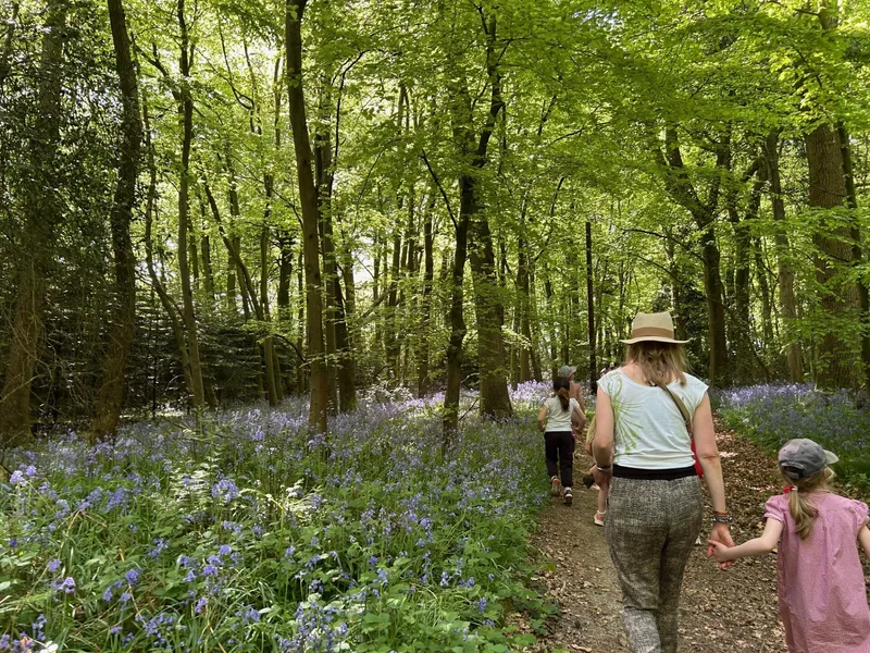 Gallery - created at 2025-05-02 12:16:59 - image 14