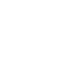 Curriculum