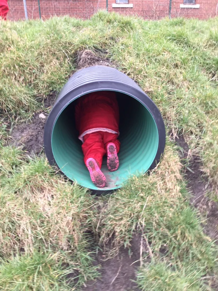 Forest School - image 11