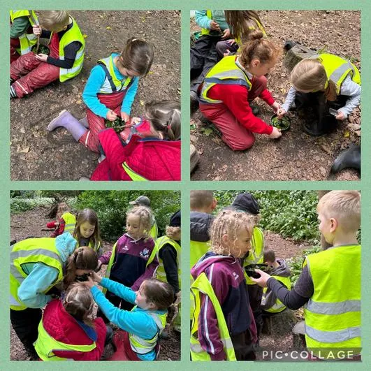 Forest School 8 - image 4 Forest School 8 - image 4