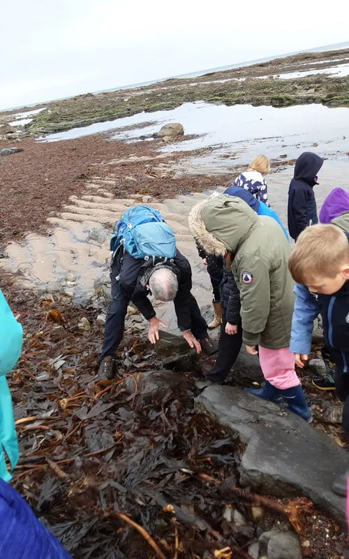 Gallery - created at 2024-10-11 14:26:20 - image 14 Gallery - created at 2024-10-11 14:26:20 - image 14