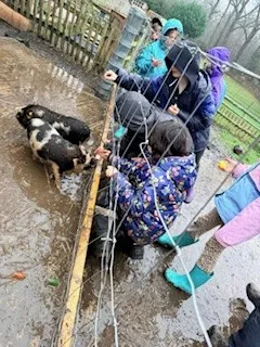 Day 2 more - image 12