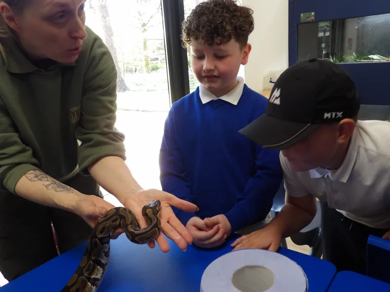 Y3 Yorkshire Wildlife Park Trip - image 42